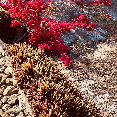 Lejlighed Cascadasol Mogán